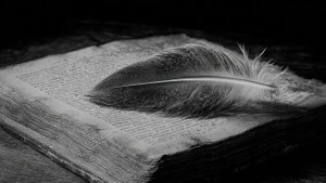 Душа в коконе