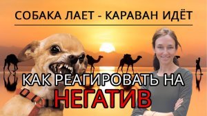Как реагировать / не реагировать на негатив, оскорбления, хамство