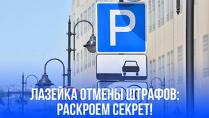 Штраф за парковку спасён одним фото: узнайте, как избежать наказания с помощью закона