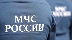 Охота с интеллектом: какие тактики крокодилы придумывают для убийств людей