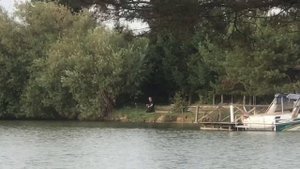 поимка карпа на большом водоёме