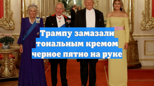 Трампу замазали тональным кремом черное пятно на руке