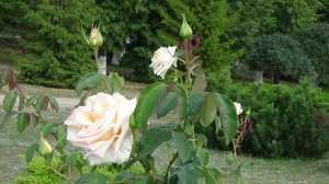 деревни и села белгородской области хутор чернышевка д чернышевка