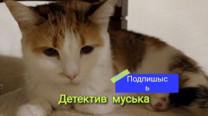 д̤̮о̤̮т̤̮е̤̮к̤̮т̤̮и̤̮в̤̮ М̤̮у̤̮с̤̮ь̤̮к̤̮с̤̮ 3 серия 1 сезон - погоня