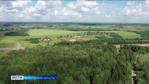 Глава Министерства лесного комплекса Вологодской области Дмитрий Верещагин отправлен в отставку