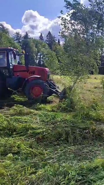 Грабли лесные ЛГ-1,8М Леспромресурс корчуют деревья на МТЗ-82 смотреть онлайн