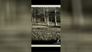 Best video of Tik Tok! 18.09.25 / 07