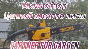 Мини обзор цепной электропилы partner for garden