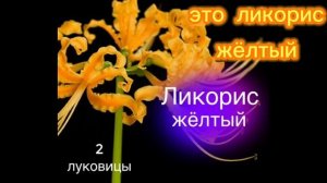 извините чт не по теме скоро новые видео!!)
