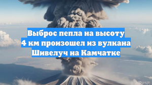 Выброс пепла на высоту 4 км произошел из вулкана Шивелуч на Камчатке