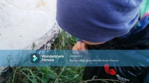 ВЛАДИК ПОПАЛ В ИГРУ ДОРС .часть 5. Это сик или нет