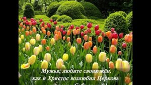 ,,ПОСВЕЩАЕТСЯ ЖЕНЩИНАМ,, - Автор видеоклипа АНАИТ МЕЛКУМЯН