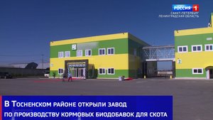 В Тосненском районе открыли завод по производству кормовых биодобавок для скота