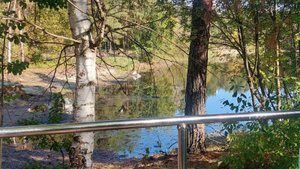 Подарок для всех! Медитация с "Вашим истинным желанием".