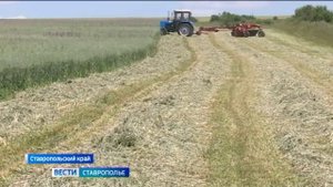 На Ставрополье заготавливают корма для животных