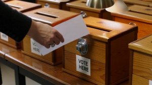 Выборы. За или против?