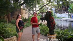 Bushman Prank_ Pigeon Rescue 2023!!