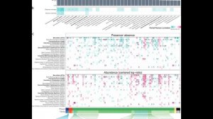 Скрытый фактор, затрудняющий изучение микробиома: лекарства, используемые за годы до сбора образцов