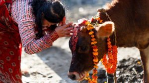 17.09.2025 Го-пуджа. Е.М. Чайтанья Чандра Чаран прабху (Омск)