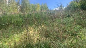 Как вселенная приводит в твою жизнь своих людей