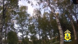 В Архангельской области полицейские предотвратили перевод пенсионером 300 000 рублей мошенникам