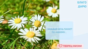 Благодарю за возможность наслаждаться ароматами природы!