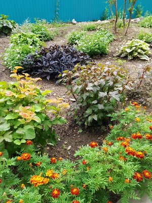 Рисунки для воинов