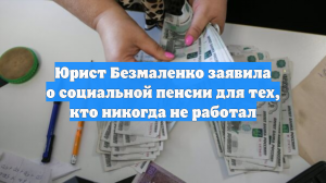 Юрист Безмаленко заявила о социальной пенсии для тех, кто никогда не работал