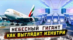 Небесный Гигант AIRBUS A380 - как выглядят изнутри