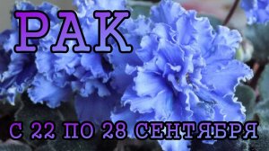 РАК таро прогноз на неделю с 22 по 28 СЕНТЯБРЯ 2025 года.