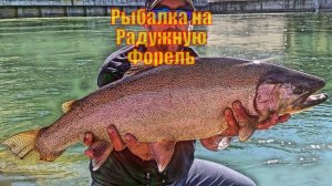 Береговая Рыбалка на Радужную Форель с помощью KastKing Kodiak 4000