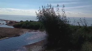 "Никуда" на стихи Александра Богданчикова