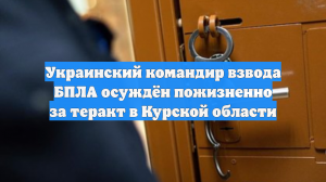 Украинский командир взвода БПЛА осуждён пожизненно за теракт в Курской области