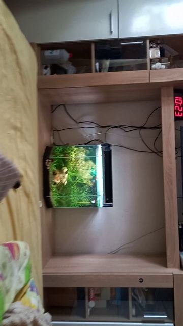 1000001668.mp4 смотреть онлайн