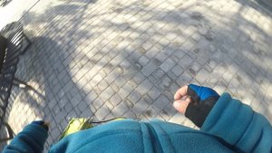 Дождевой барабан