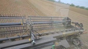 250627  JD STS9670 чечевица 30AFN Пролетарск Ростовской области