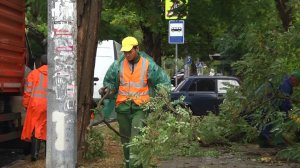 В Севастополе оперативно устраняют последствия непогоды