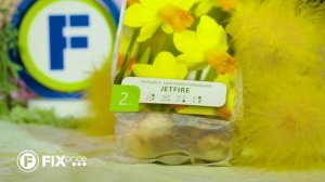 Луковицы "Mix" | FIX PRICE