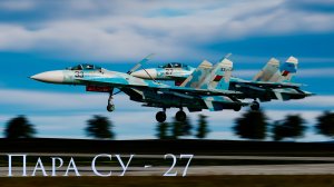 Парный полет