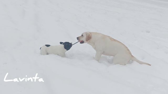 Вита и Кася