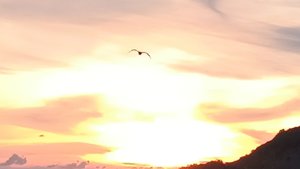 Закат Лермонтово