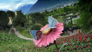 😎Südtirol Italien 🇮🇹 "Trauttmansdorff bei Meran" und Schenna💞/Южный Тироль Италия Траутмансдорф