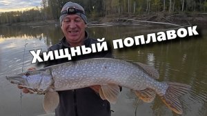 Как ловить щуку на ХИЩНЫЙ ПОПЛАВОК