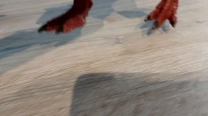 моя коллекция динозавров