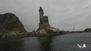 маяк Анива, касатки.