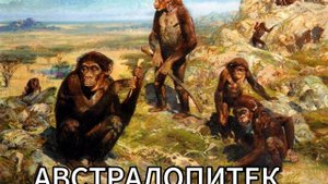 Австралопитек песня
