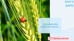 Благодарю за возможность преобразить себя и свою жизнь с помощью перемен!