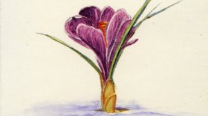 Время (П. Кузнецов, 1992)