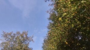 подарок 🎁 от волшебника 17 сентября