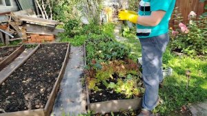 Видео привет 18 сентября 2025.